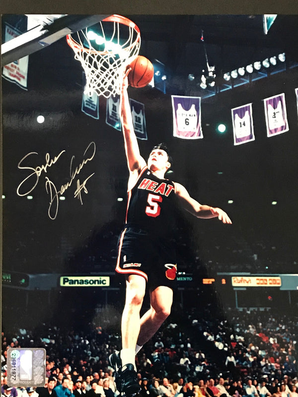 Sasha Danilovic Autographed 8x10 Photo