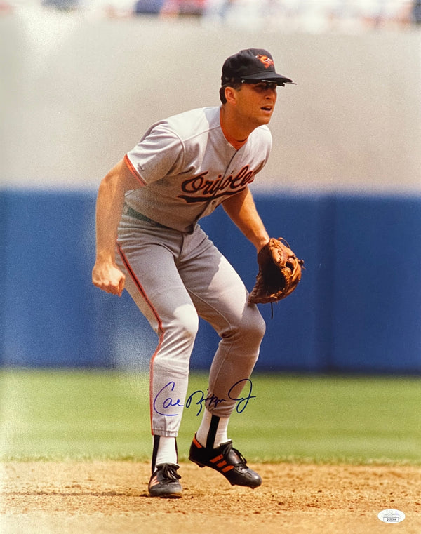 Cal Ripken Jr Autographed 16x20 Baseball Photo (JSA)