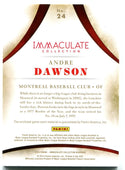 Andre Dawson Panini Immaculate Heroes Jersey Card 39/49